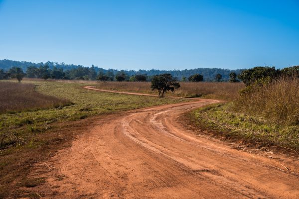 Cost of Dirt Driveway Repair in Arvada