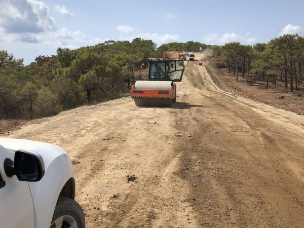 Cost of Driveway Grading in Arvada