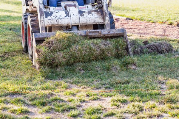 Cost of Landscape Leveling in Arvada