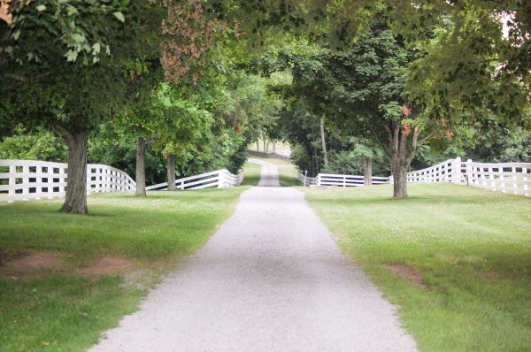Cost of Gravel Road Installation in Arvada
