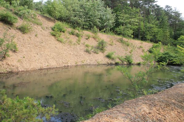 Cost of Pond Erosion Repair in Arvada
