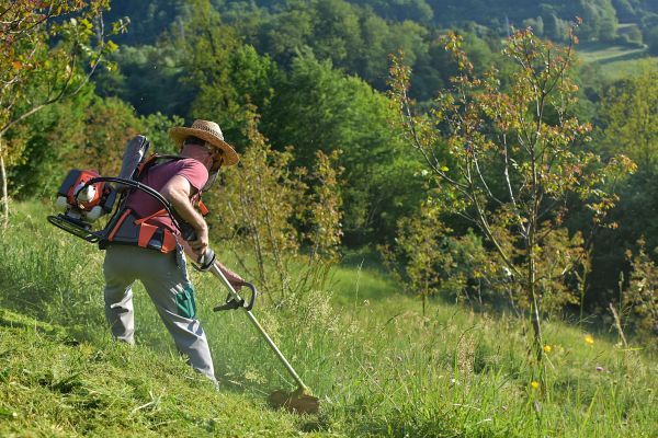 Cost of Slope Trimming in Arvada
